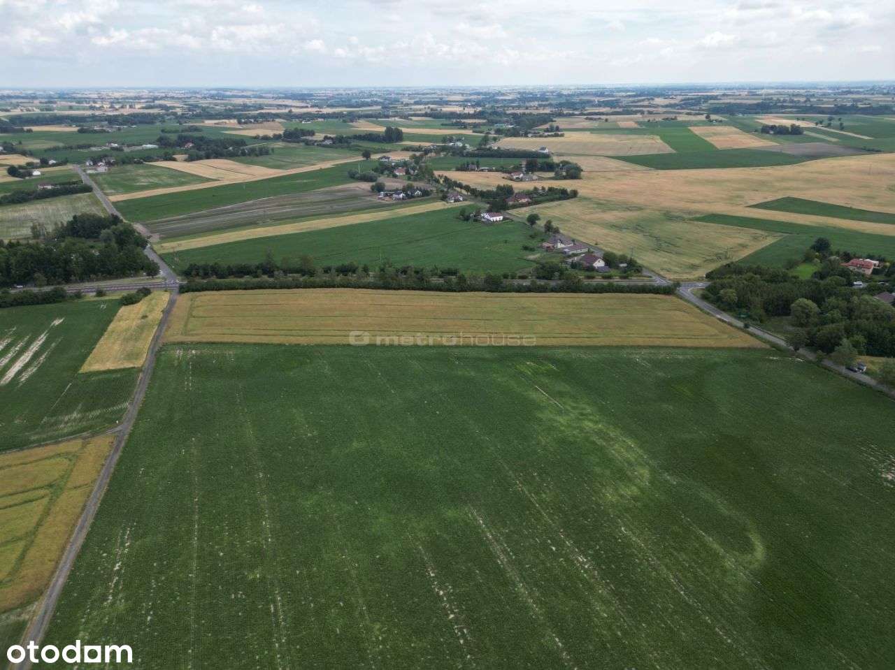 Sprzedaż - 2 ha działka ze zjazdem do Dk nr 10 - Pełny obrazek: 4/12
