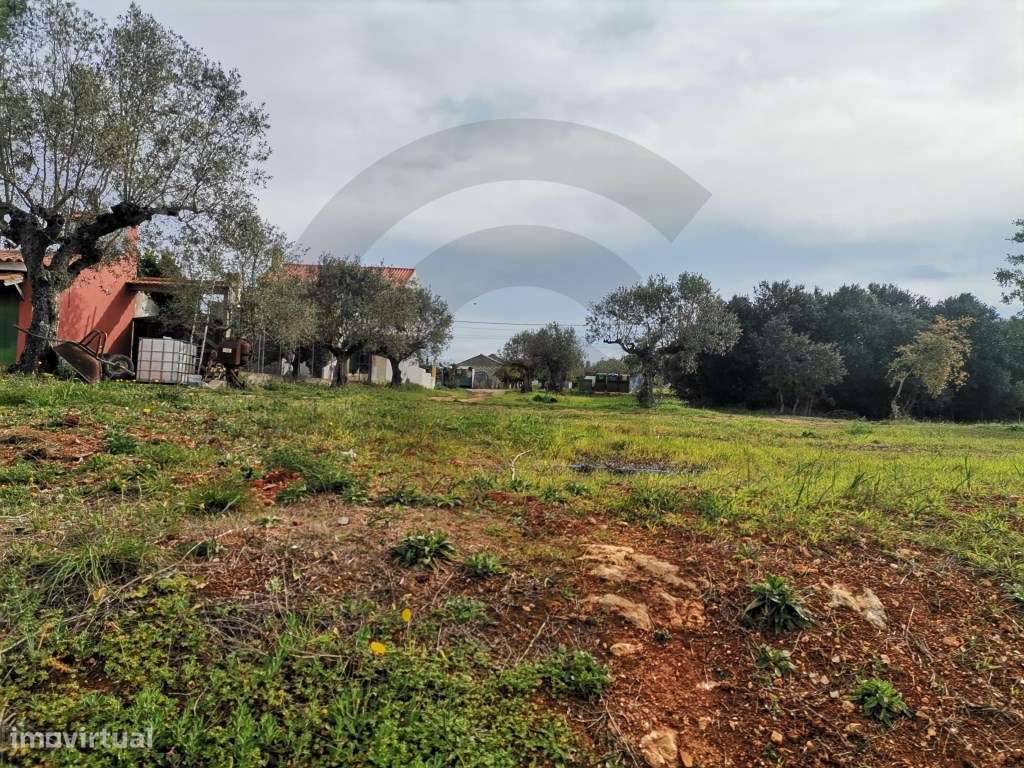 Terreno para construção - Grande imagem: 4/4