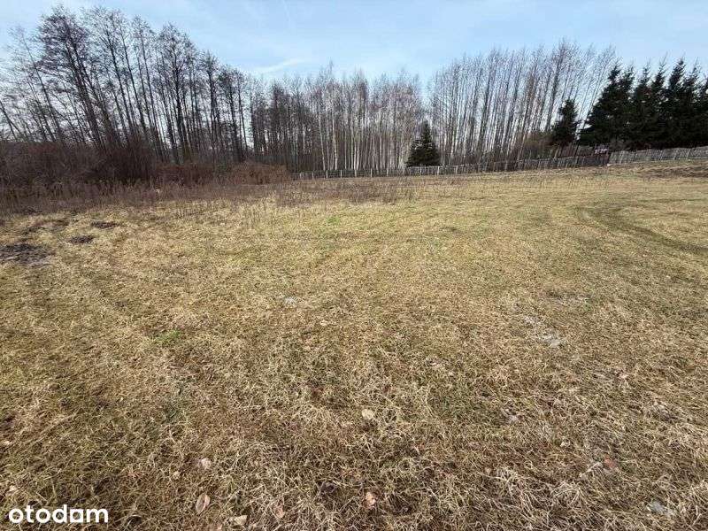 Działka na małym osiedlu pod Gostyninem - Pełny obrazek: 5/7