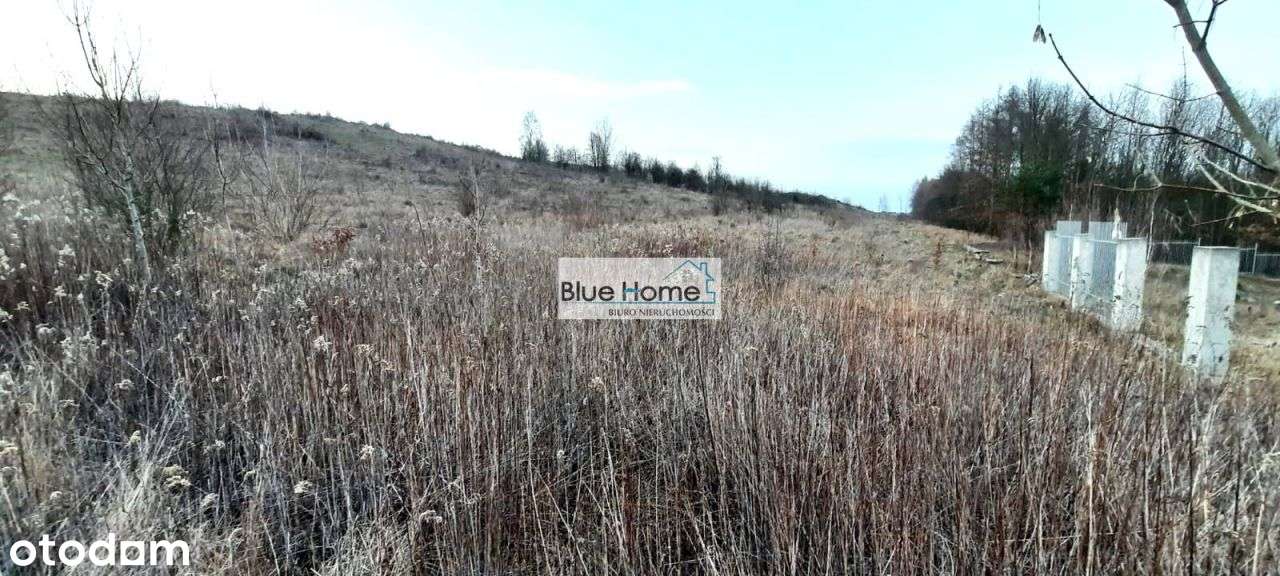 Duża działka tereny zielone spokojna okolica Wz - Pełny obrazek: 4/5