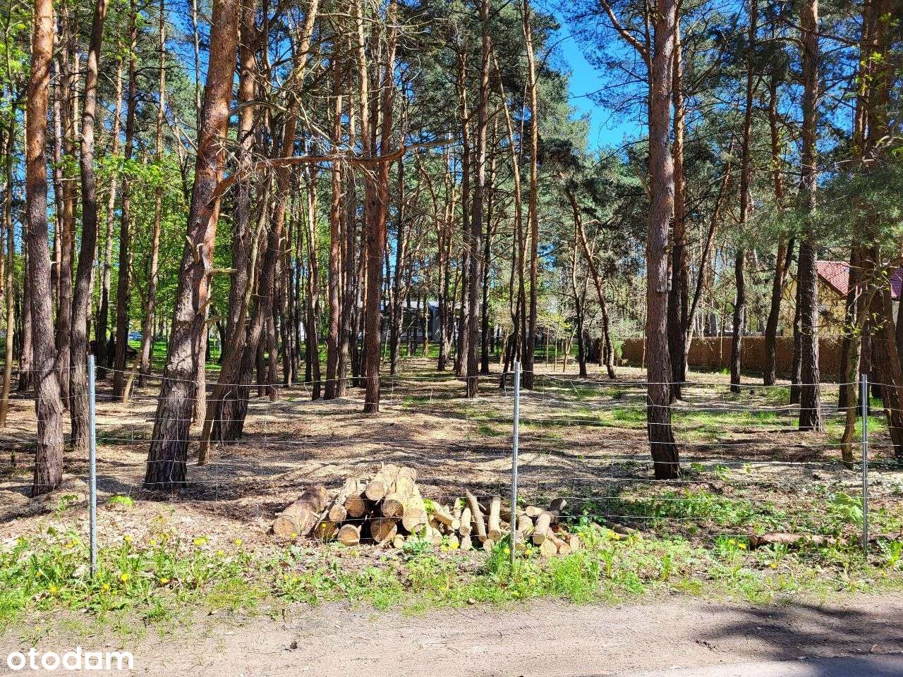 KONSTANCIN  3316 m2, ul. Leśna NOWA NIŻSZA CENA - Pełny obrazek: 2/8