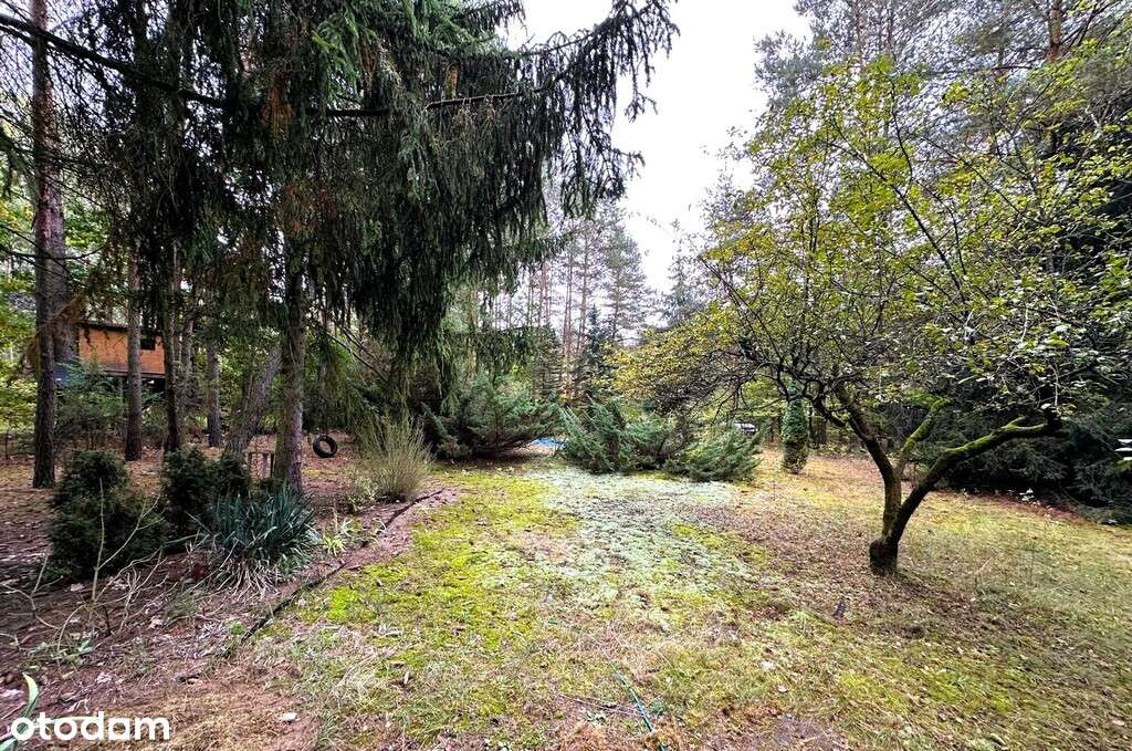 Malownicza działka nad rzeką Bug – Kania Polska - Pełny obrazek: 5/18