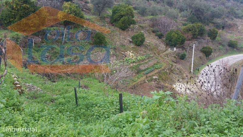 Quintinha em Santo Adrião - Grande imagem: 3/20