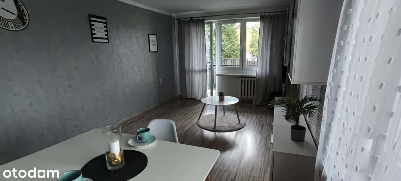 Duże, ustawne trzy pokoje w centrum miasta-3