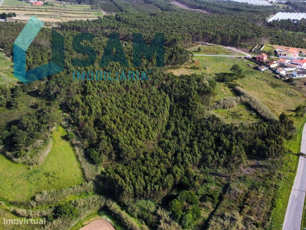 Terreno com viabilidade de desenvolvimento turístico - Grande imagem: 5/10