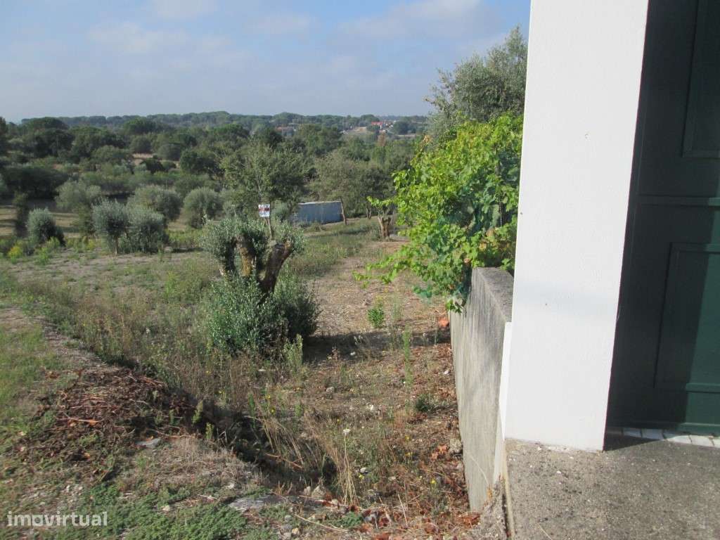 Terreno p/ Construção/Venda/Ourém - Grande imagem: 4/17