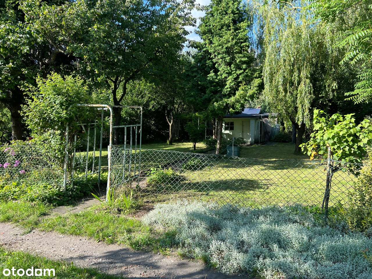 Działka ROD, Bogdanka, Pułaskiego, Sołacz, Rekreacja-3