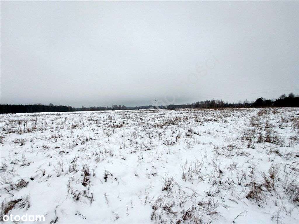 Warunki Zabudowy, Dojazd Asfaltem, Media.-8