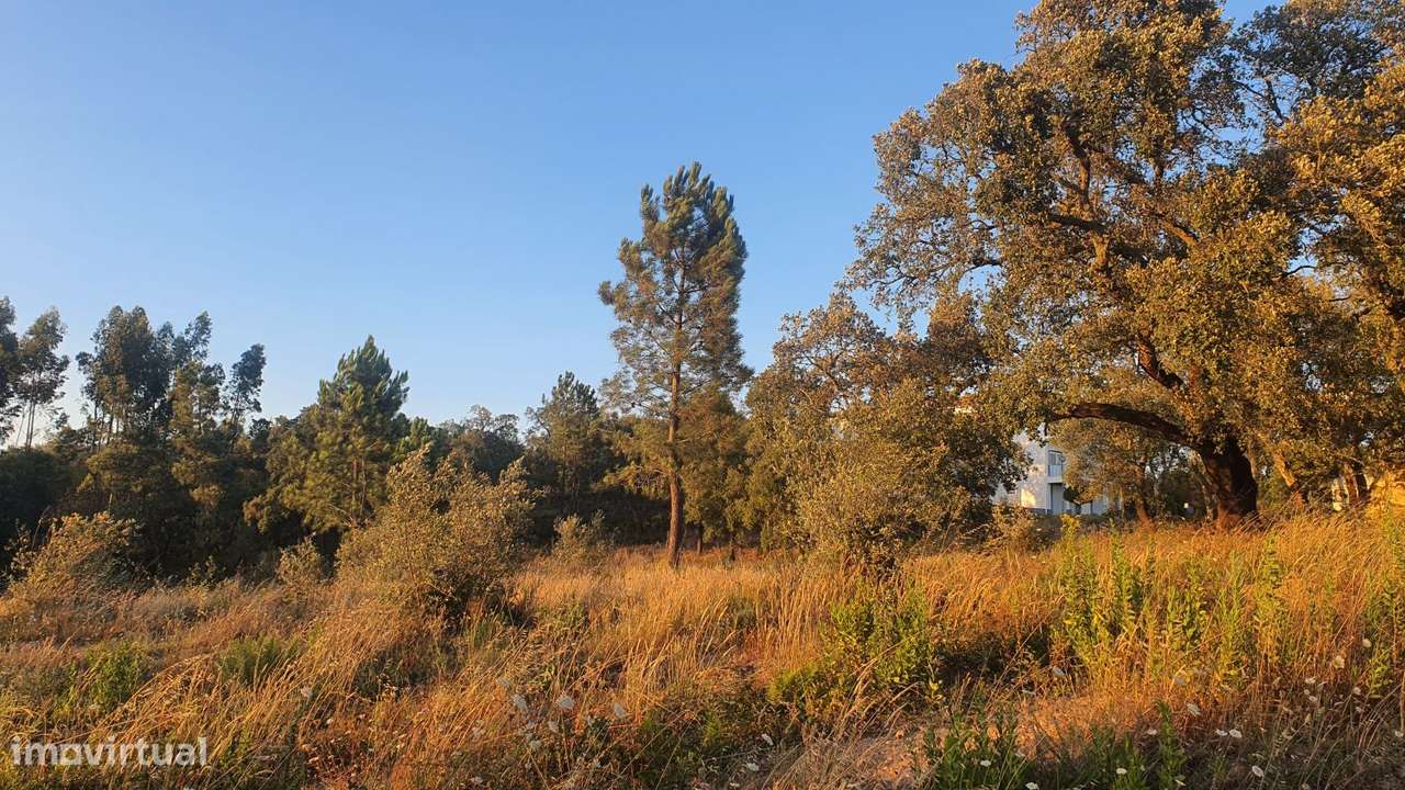 Terreno para Moradia com vista para a Serra D'Aire e Candeeiros-8