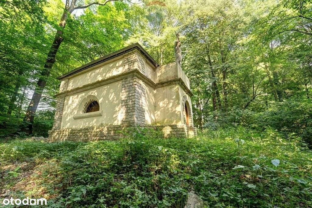 Zapisz się na kartach historii rodziny Szembeków! - Pełny obrazek: 4/18