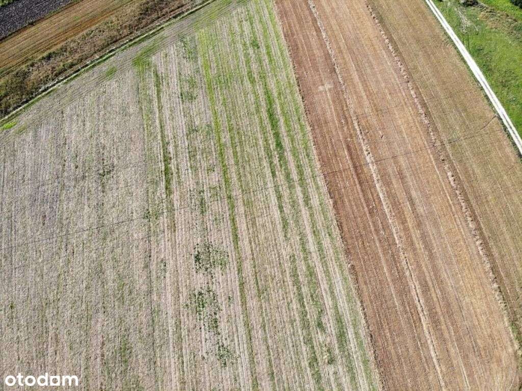 Działka, 30 200 m², Grobla-4