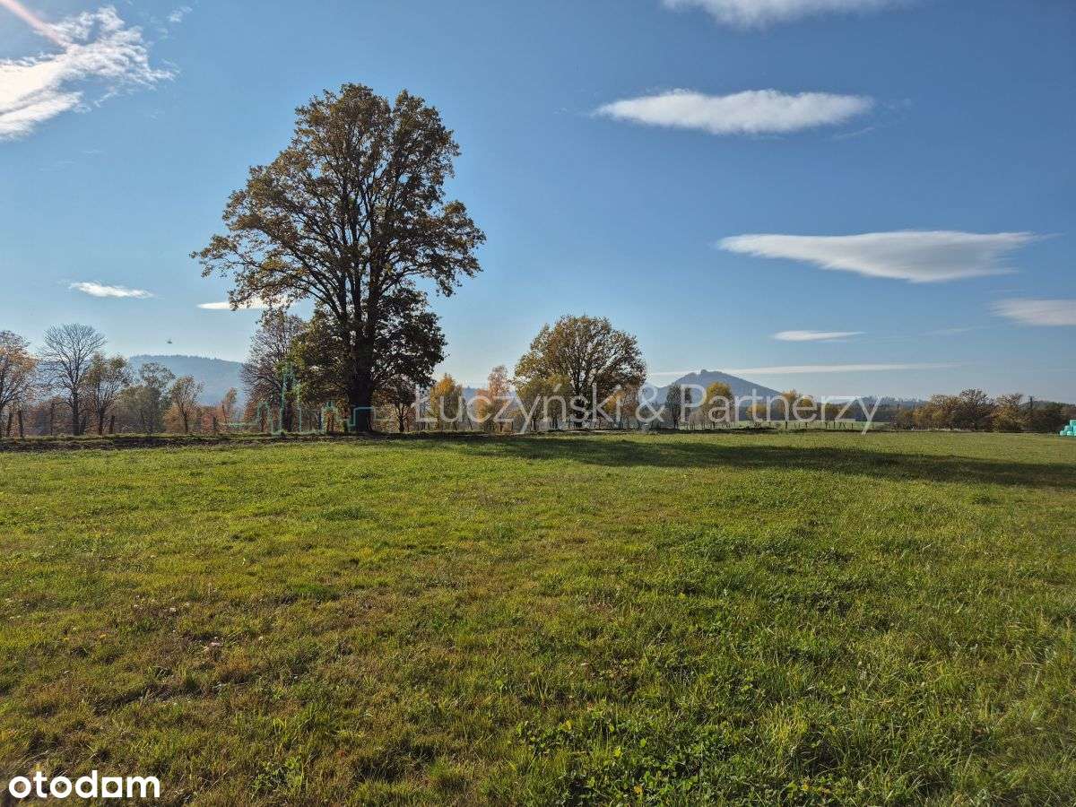 Świetna działka w Janowicach Wielkich!-3