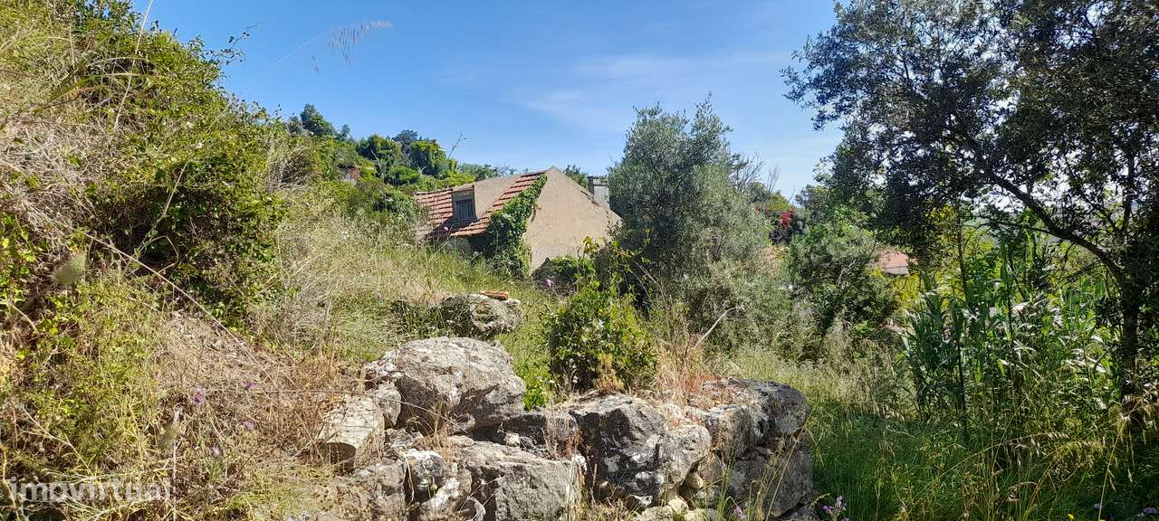 Quinta em Alenquer-12