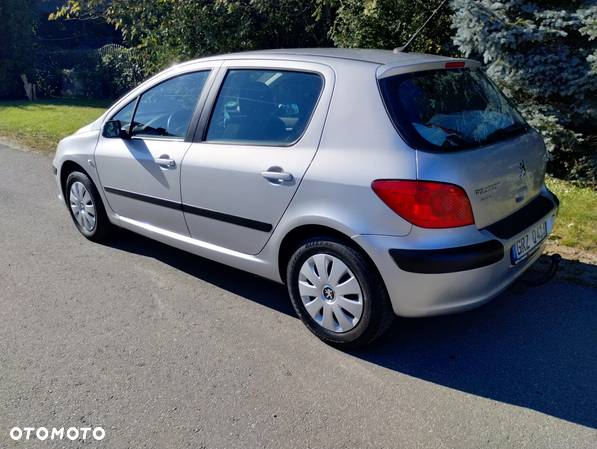 Peugeot 307 1.4 Trendy - 6