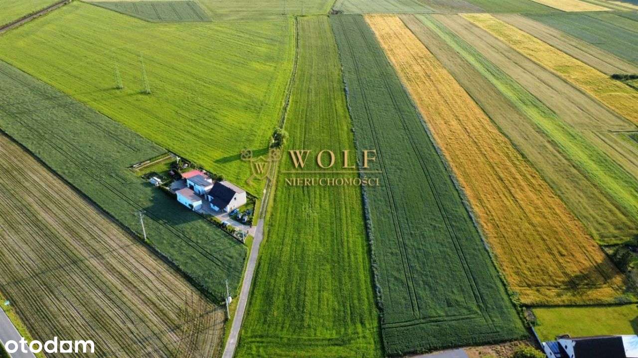 Działka, 19 370 m², Wielowieś - Pełny obrazek: 5/5