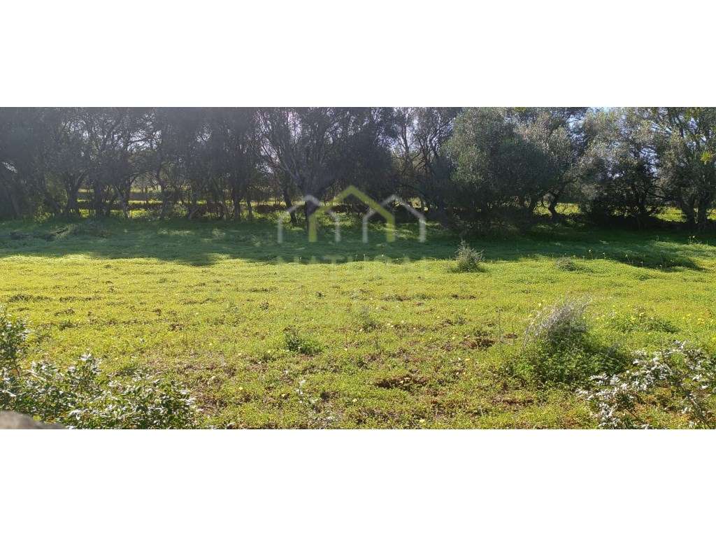 Terreno Plano e Ensolarado nas Proximidades de Quelfes, Olhão - Grande imagem: 3/7