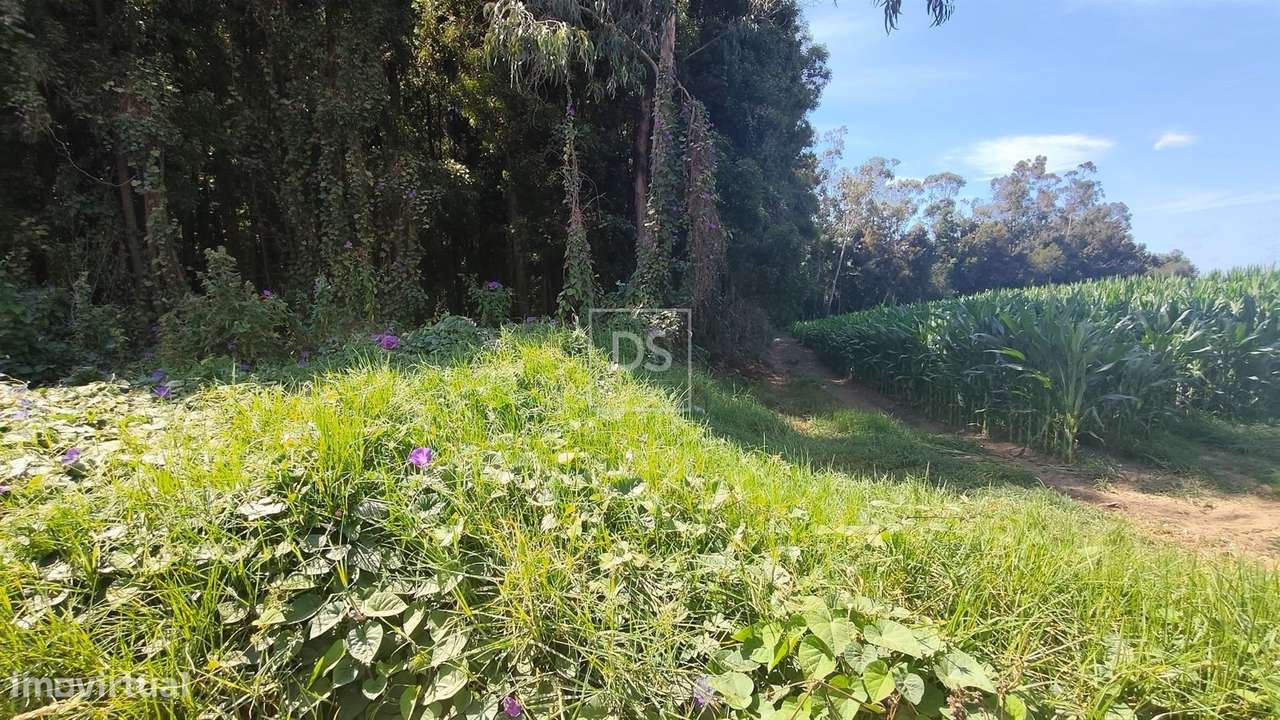 Lote Industrial  Venda em Aveleda,Vila do Conde-54