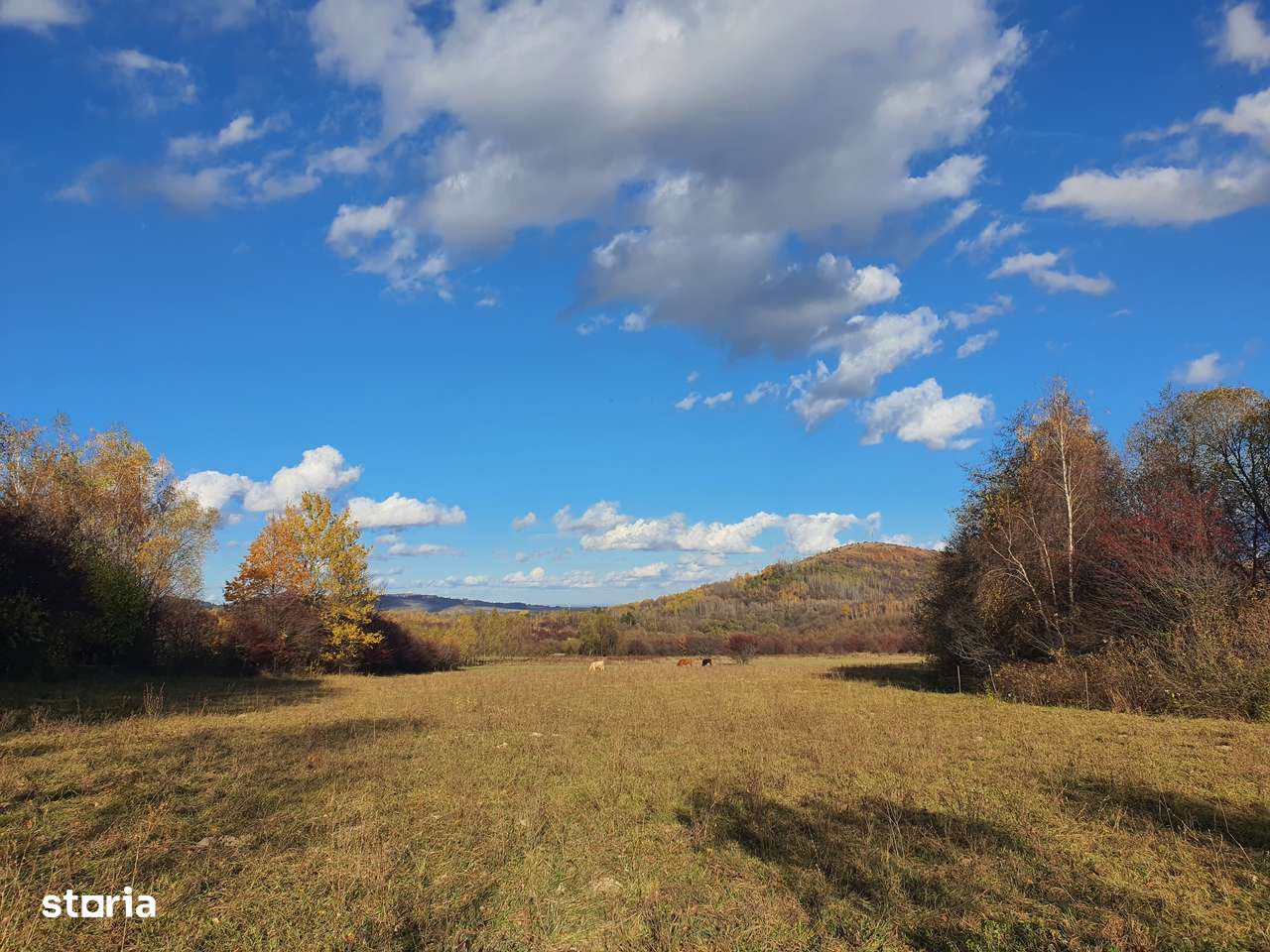 Teren Bran  – Tohanita zona de case pretabil investitii - Imagine principală: 3/3