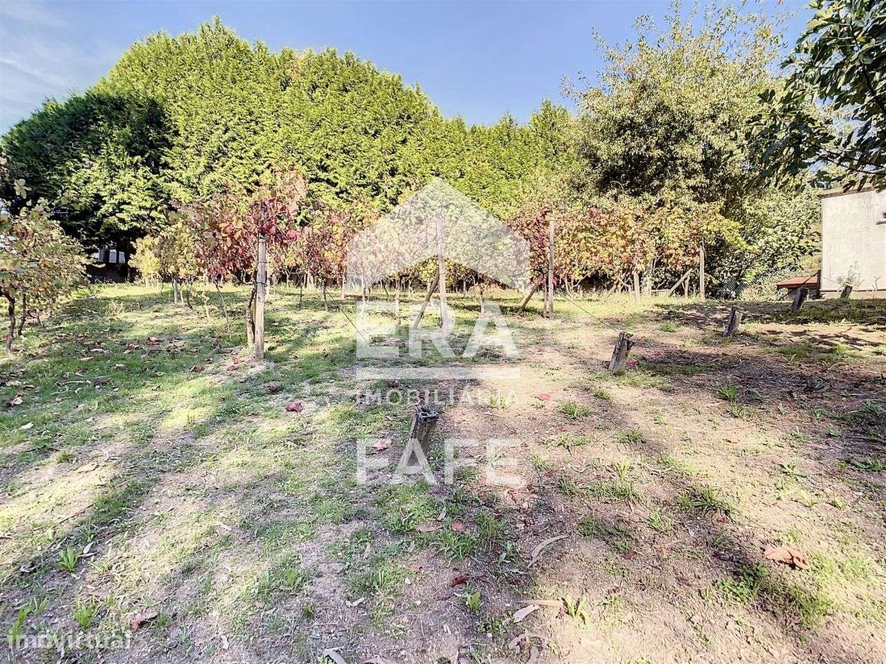 Terreno com 2.448 m2 em Silvares S. Martinho - Grande imagem: 5/12