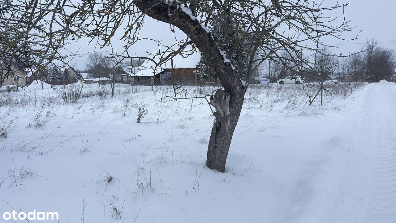 Działka w Podlaskiej malowniczej wsi Rzepiska,Żubry PuszczaBiałowieska-15
