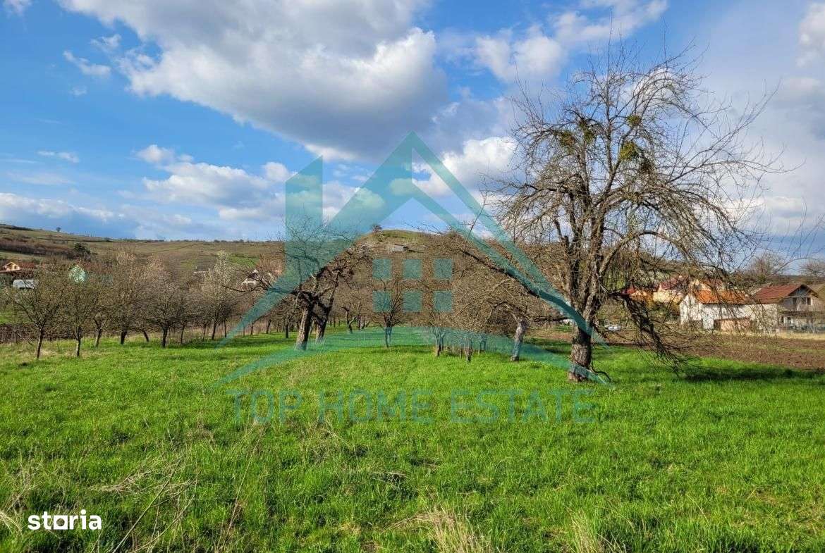 EXCLUSIVITATE! Teren intravilan de vanzare, zona linistita, sat Vlaha! - Imagine principală: 2/12
