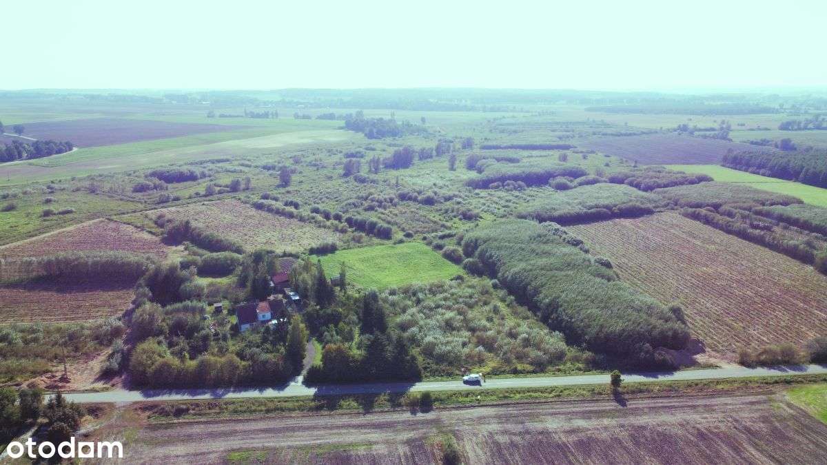 Grunty rolne: Stankowo, aktywne plantacje wierzby - Pełny obrazek: 4/7