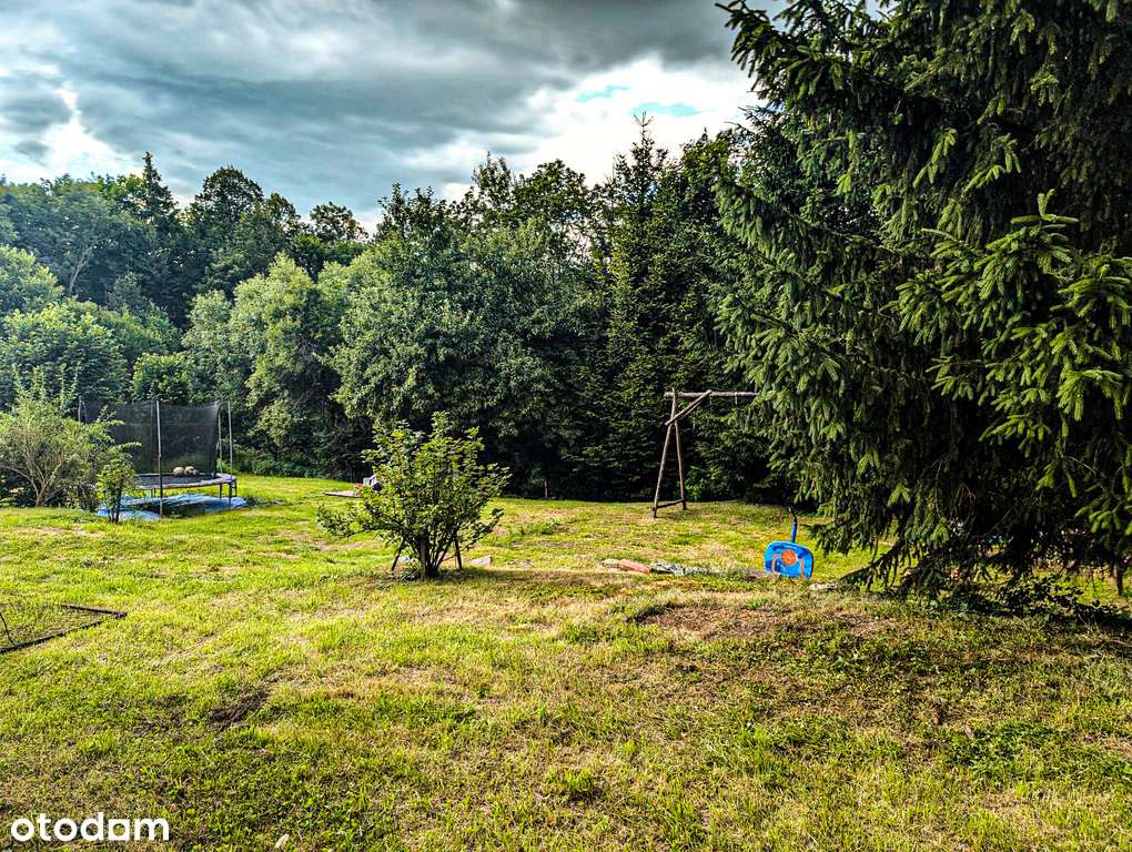 25/13782/ODS - Pełny obrazek: 4/15