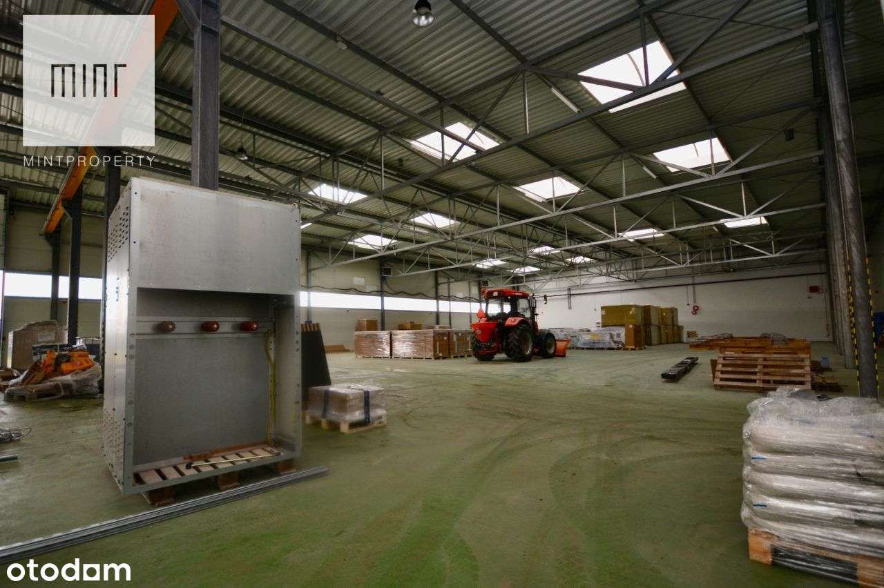 Obiekt produkcyjno - magazynowy - Rogoźnica - Pełny obrazek: 4/5