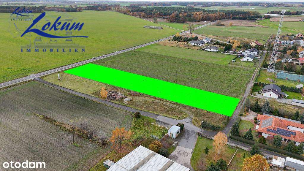 Gołanice - duża działka, wydanyne WZ-1