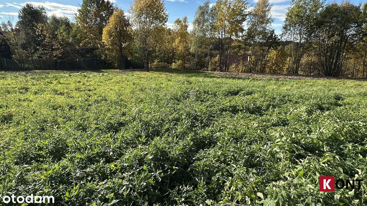 Włosań dz. bud. 36 ar budowlano - inwestycyjna-1