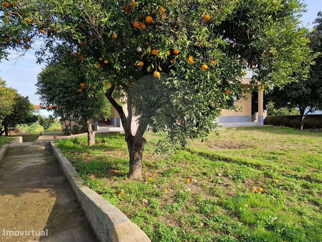 Terreno  para venda - Grande imagem: 4/18