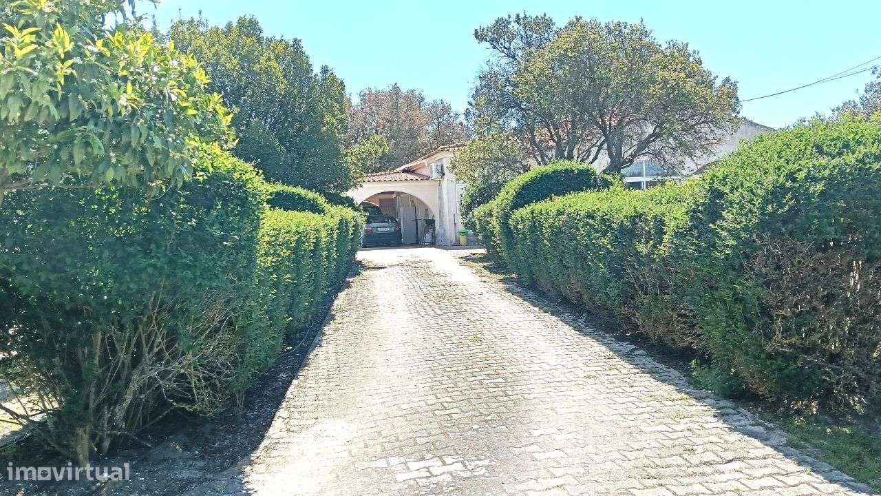 Quinta Pegões Velhos, junto á adega, com moradia e armazém lote 3,8 ha-54