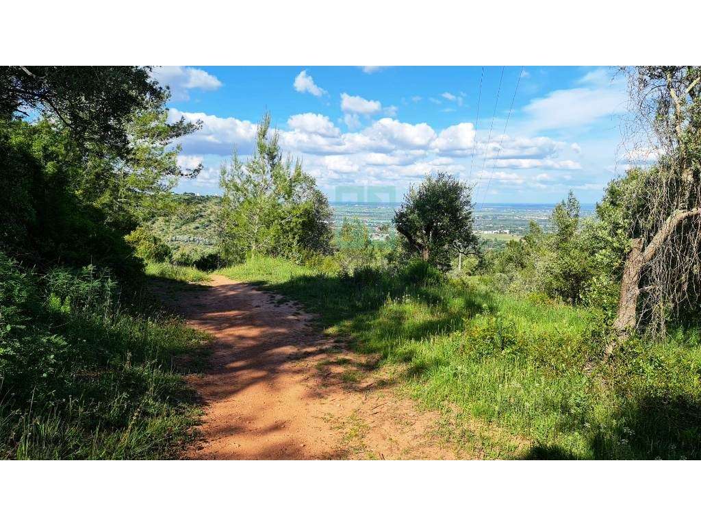 Quinta com 435.487 m2 na Serra da Arrábida, em Palmela, Setúbal-17