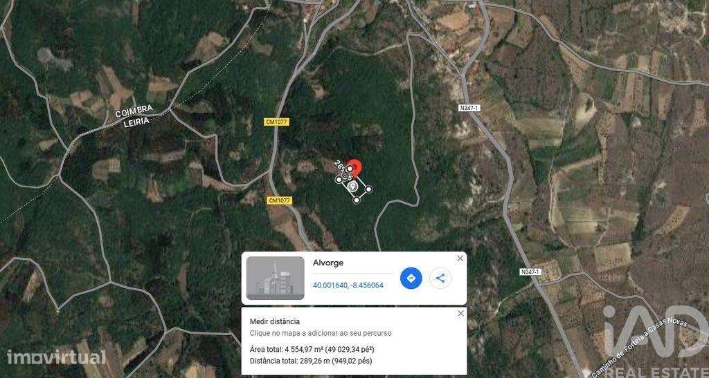 Terreno em Alvorge de 4550,00 m2 - Grande imagem: 4/9