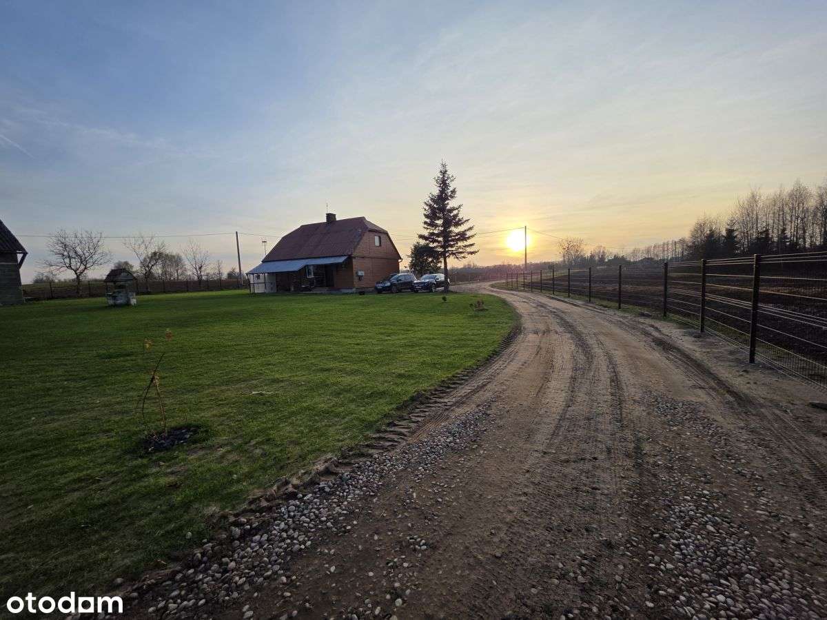 Siedlisko, Jabłońskie, Las-12