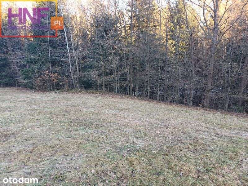 Działka w Gaboniu 18ar z dostępem do potoku - Pełny obrazek: 4/15