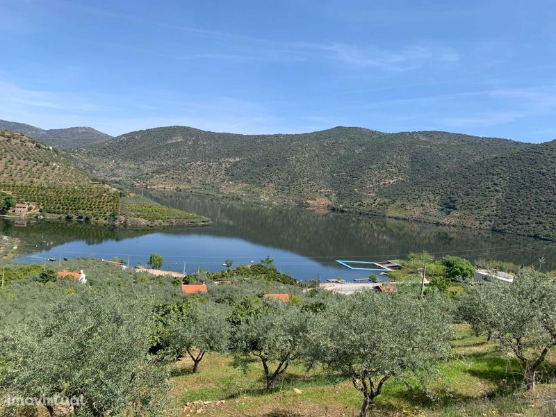 Terreno agrícola com 26.080 m2 na Congida