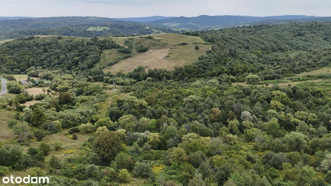 Działki rolne 7 ha,  ok. 1 km od Jeziora Solińskiego - Pełny obrazek: 5/5