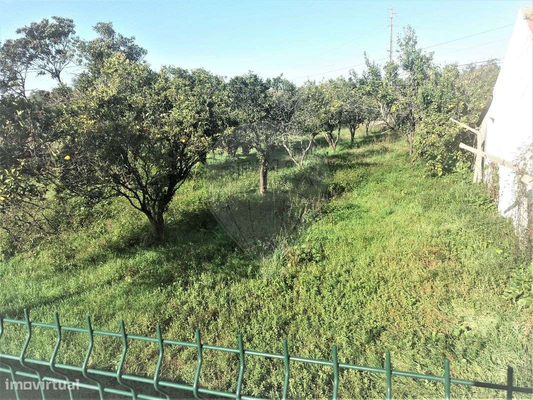 Moradia T0 para Venda - Grande imagem: 4/6