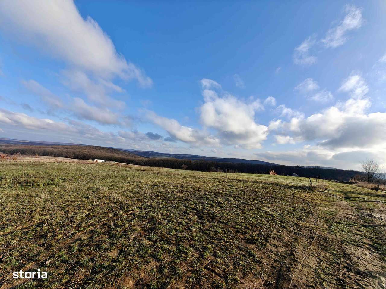 Teren intravilan–3.000 mp– Săldăbagiu de Munte,la doar 8 min de Oradea - Imagine principală: 5/12