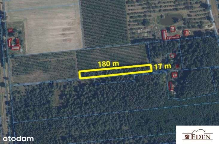 Na sprzedaż otoczona lasami działka - Oleśnica, gm. Wodynie. - Pełny obrazek: 4/5