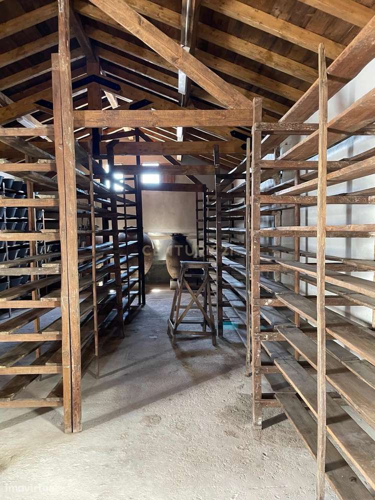 Imóvel Único à Venda – Fábrica da Ameixa de Elvas-39