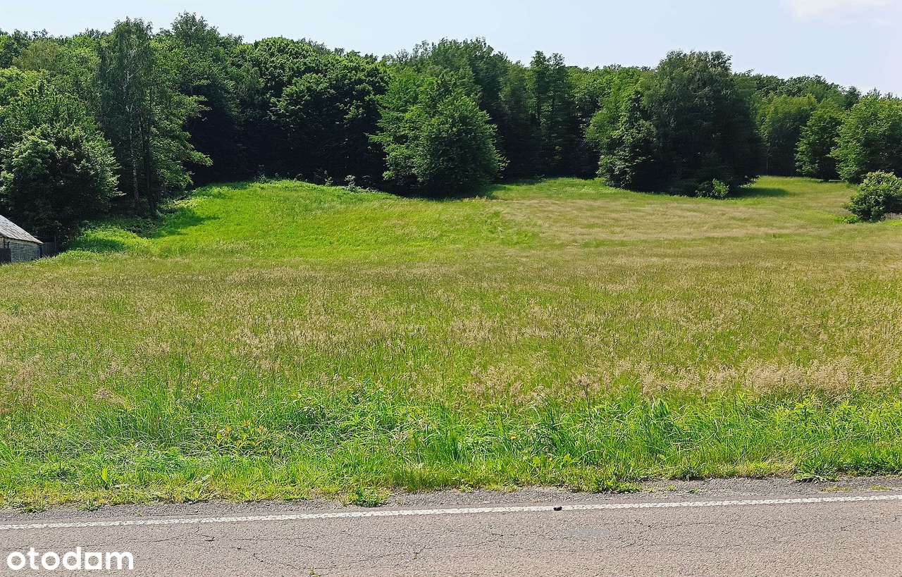 Działki na Roztoczu - Bondyrz-11