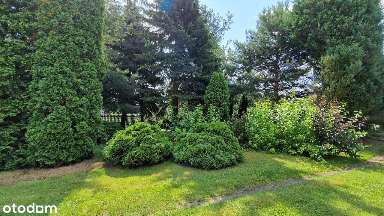 DOM JEDNORODZINNY Z DUŻĄ DZIAŁKĄ I STAWEM – MAŁYSZYN, GM. WIELUŃ-12