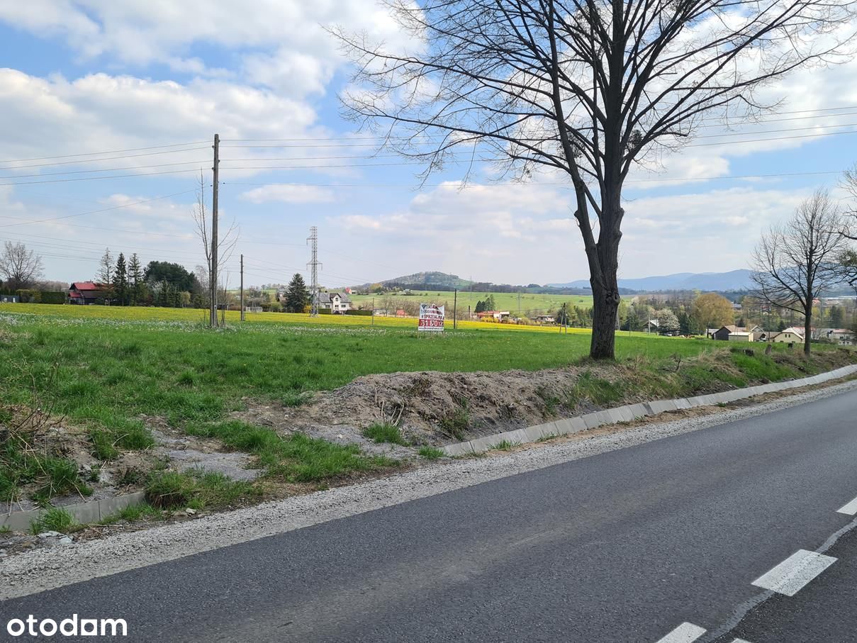 Działka, bud/usługowo/rolna. Blisko Cieszyna