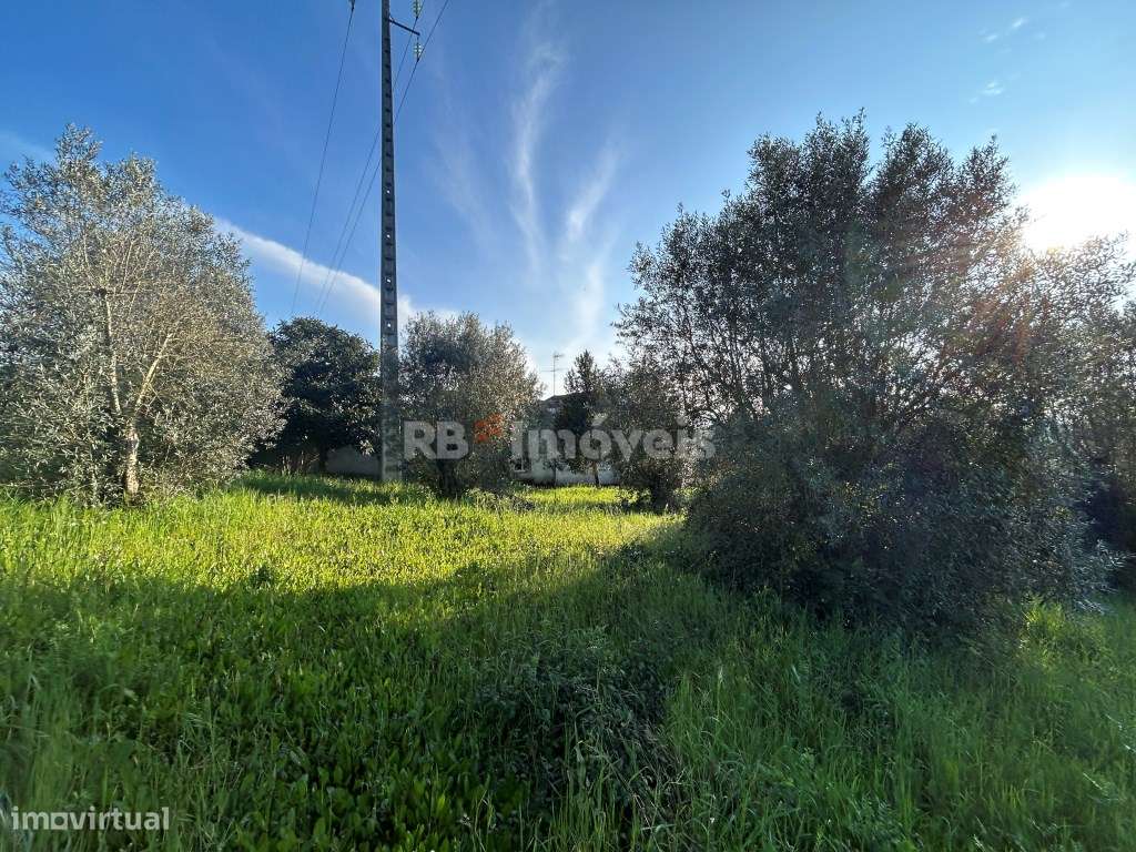 Terreno Rústico com PDM Urbano - Marianaia, Tomar - Grande imagem: 5/33