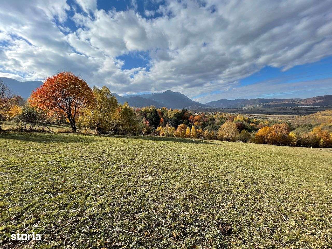 Teren intravilan construibil 500 mp-16