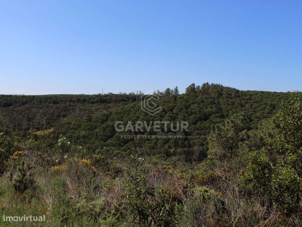 Terreno rústico junto à barragem, Odiaxere, Lagos - Grande imagem: 4/12