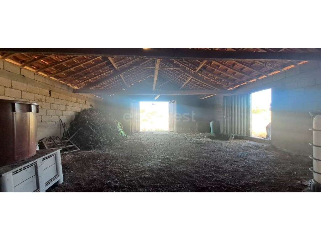 Armazém e terreno agrícola em Estevais, Torre de Moncorvo - Grande imagem: 3/12