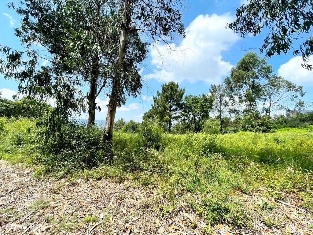 Terreno rústico com 9.069,14m² situado em Lugar de São Do...